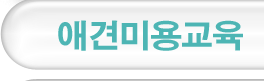 애견미용교육